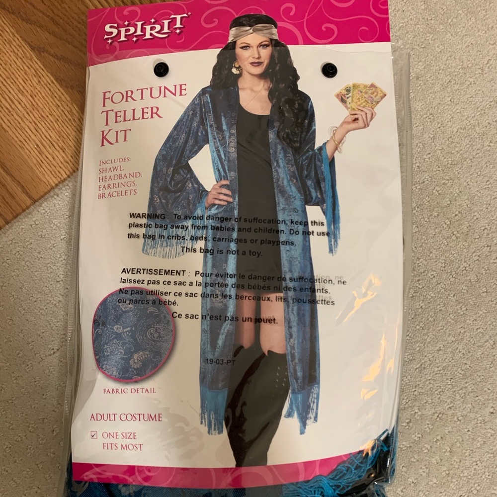 fortune teller halloween costume